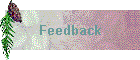 Feedback