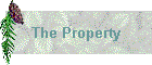 The Property